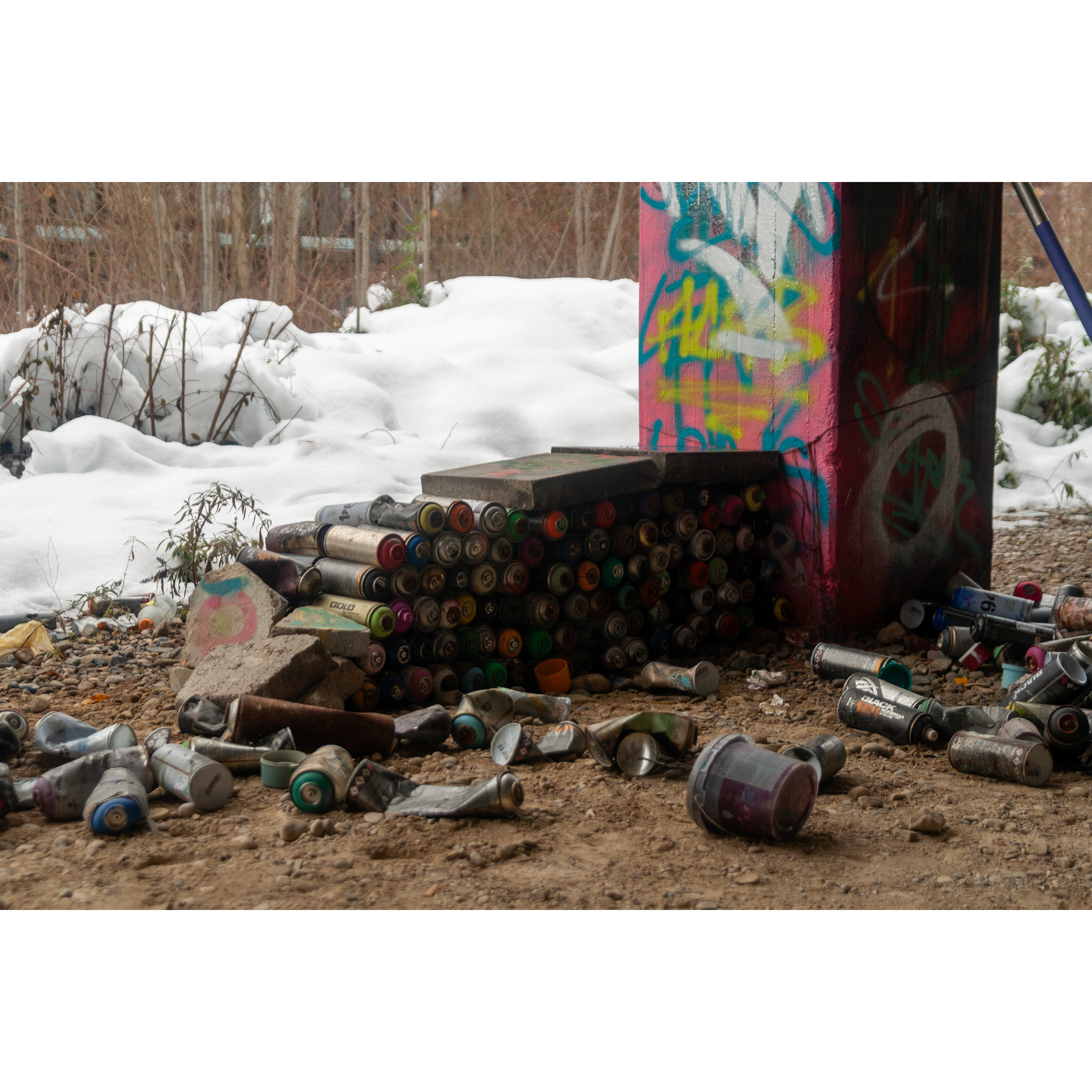 Image_10
