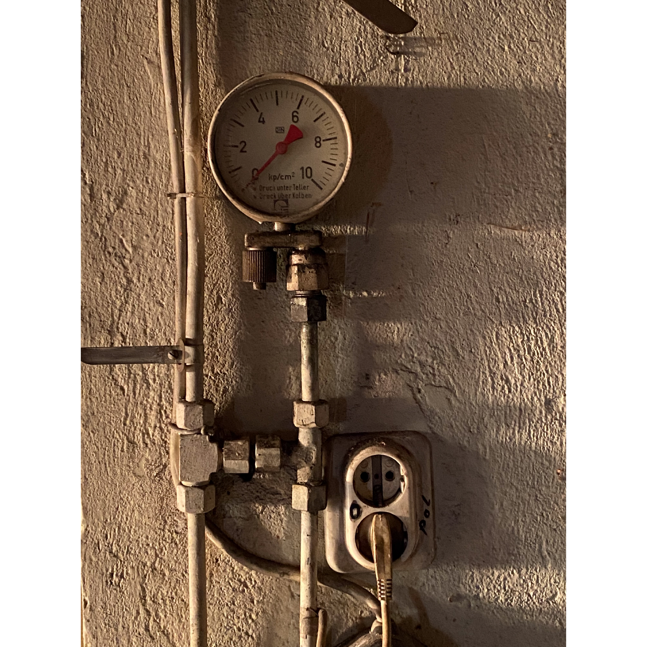 Image_1